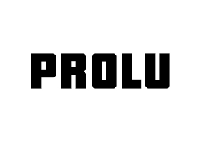 Shandong Prolu Machinery Technology Co.,Ltd
